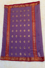 HOV HANDLOOM CHANDERI SAREE - BIG NAKSHI BORDER - 112