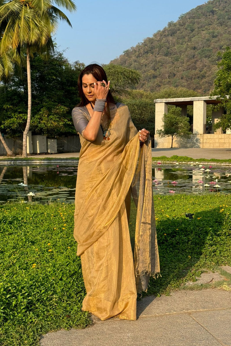 Mallika Nayak Handloom Chanderi Half Tissue Saree Gold & Purple