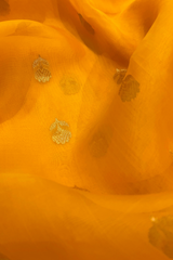 HOV HANDLOOM CHANDERI KATAN SAREE - TRADITIONAL BORDER - 110