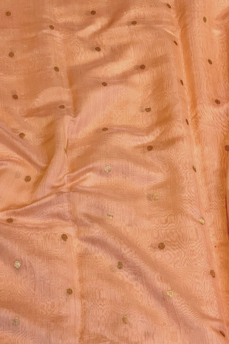 Handloom Cotton Silk Chanderi Saree - Mina Round Buta - Aboli