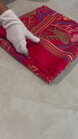 Handembroidered Kantha Silk Saree- Red Blue Animal Motif