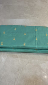 Handloom Paithani Silk Saree - Pastel Blue
